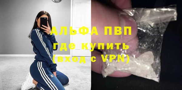 молекула духа Арсеньев