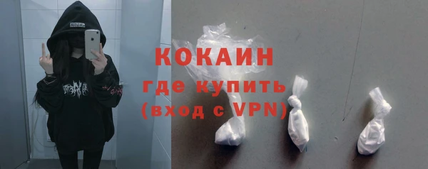 шишки Армянск