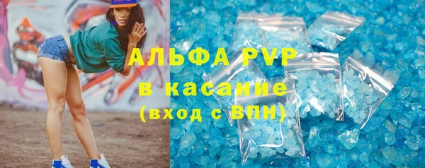 apvp Аркадак