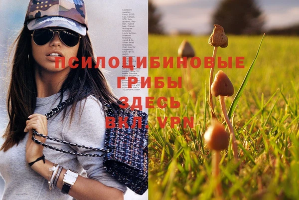 молекула духа Арсеньев