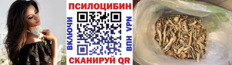 Псилоцибиновые грибы Cubensis Карасук